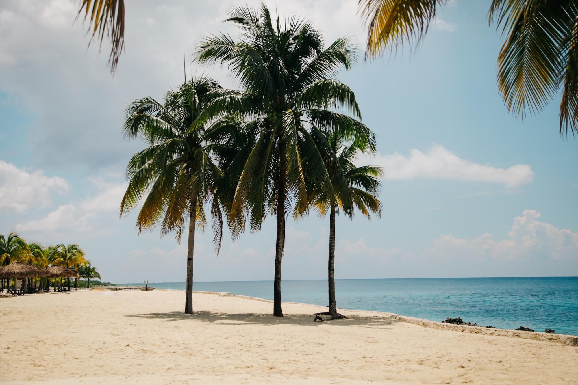 Post with Slideshow Clem Onojeghuo 111588 Unsplash